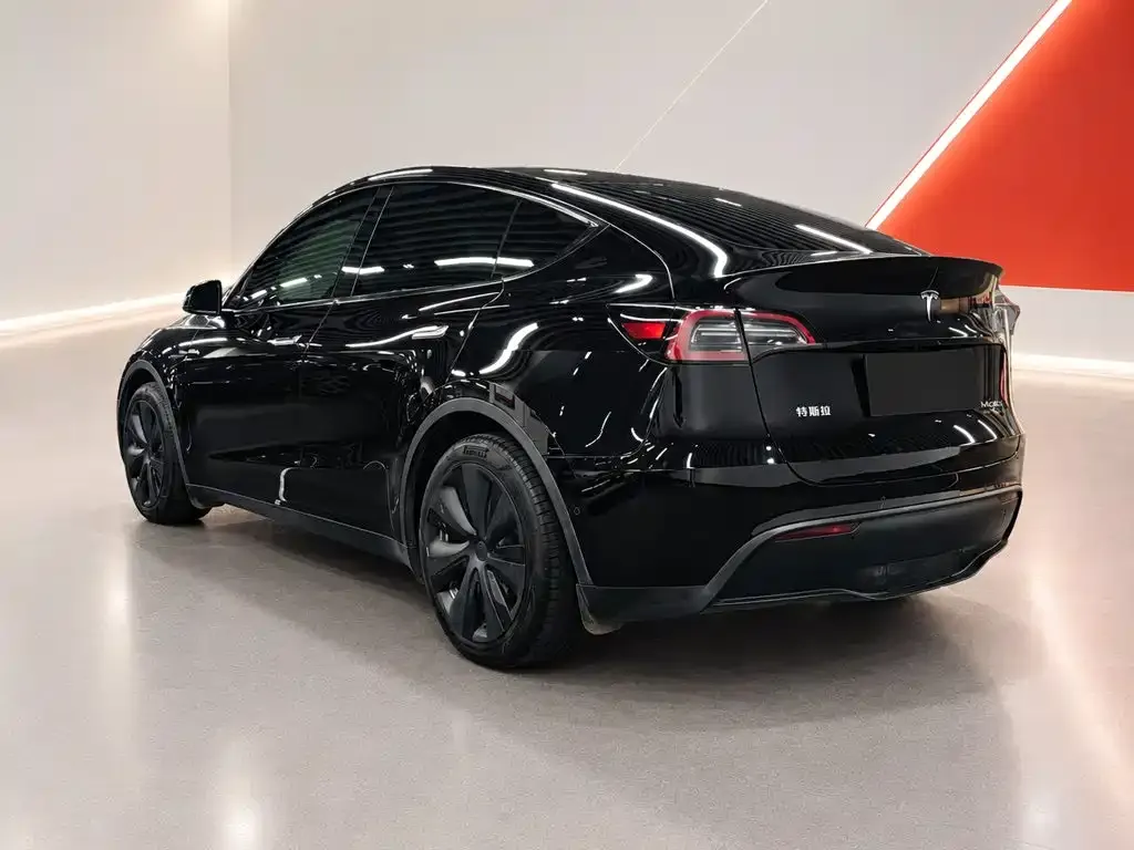 Tesla Model Y — фото 5