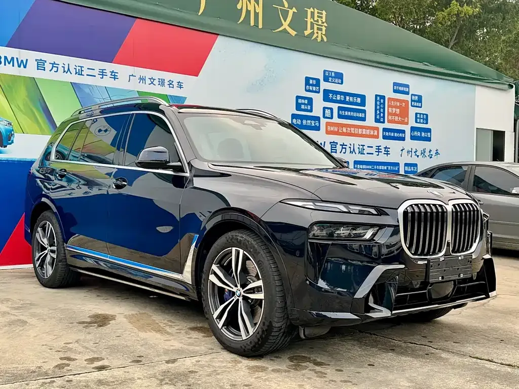 BMW X7 — фото 9