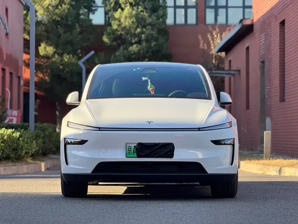 Tesla Model Y — фото 8