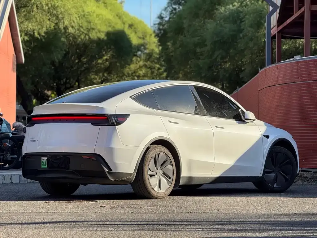 Tesla Model Y — фото 10