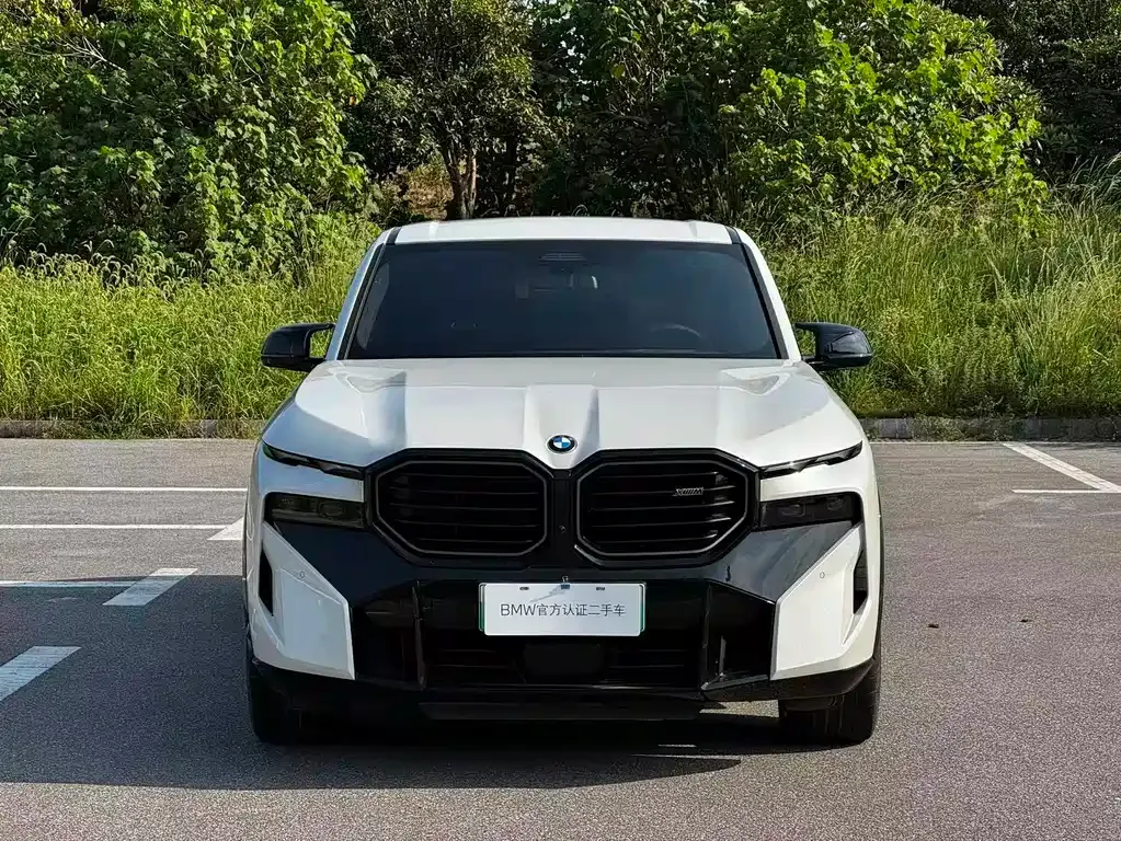 BMW XM — фото 6