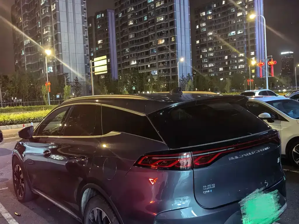 BYD Tang New Energy — фото 8