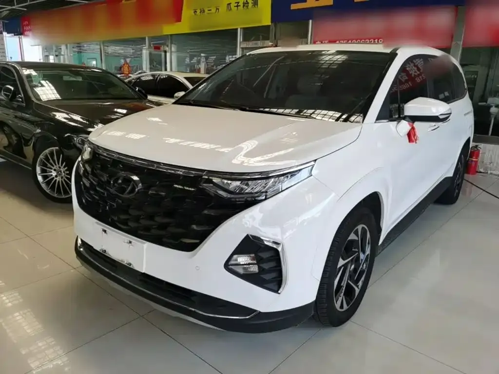 Hyundai Custo — фото 7