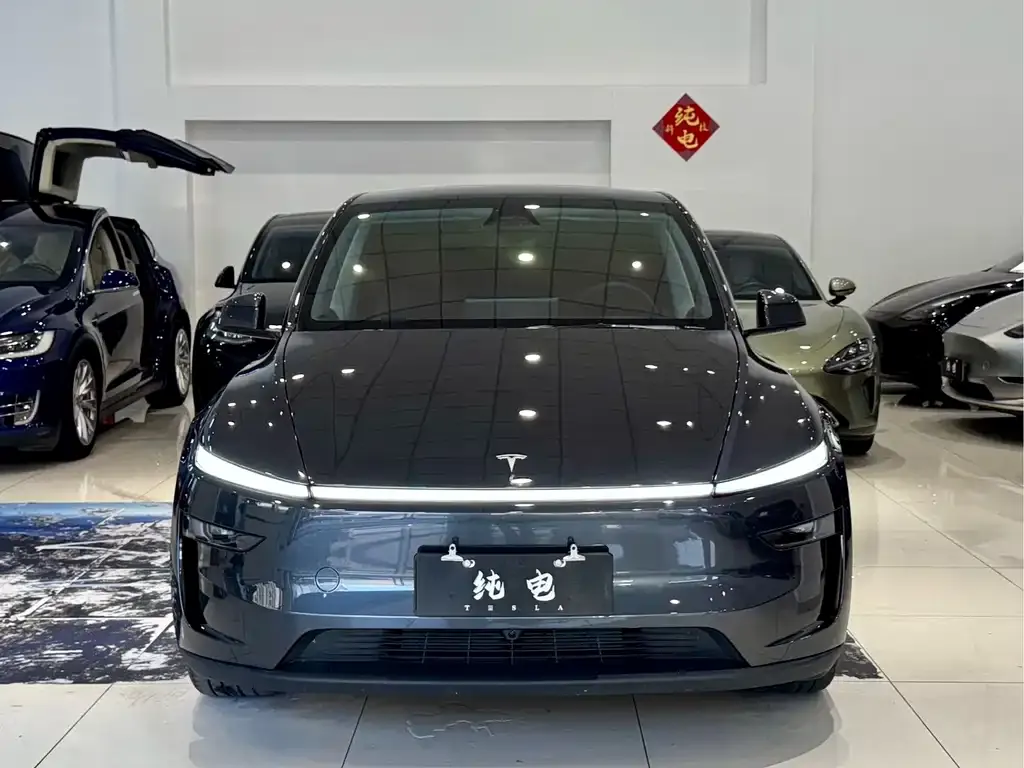 Tesla Model Y — фото 7