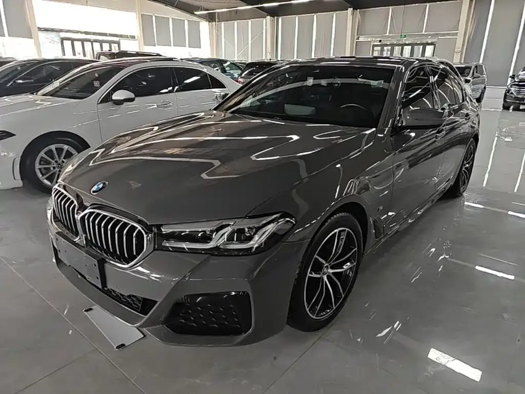 BMW 5 Series (Import) — фото 6