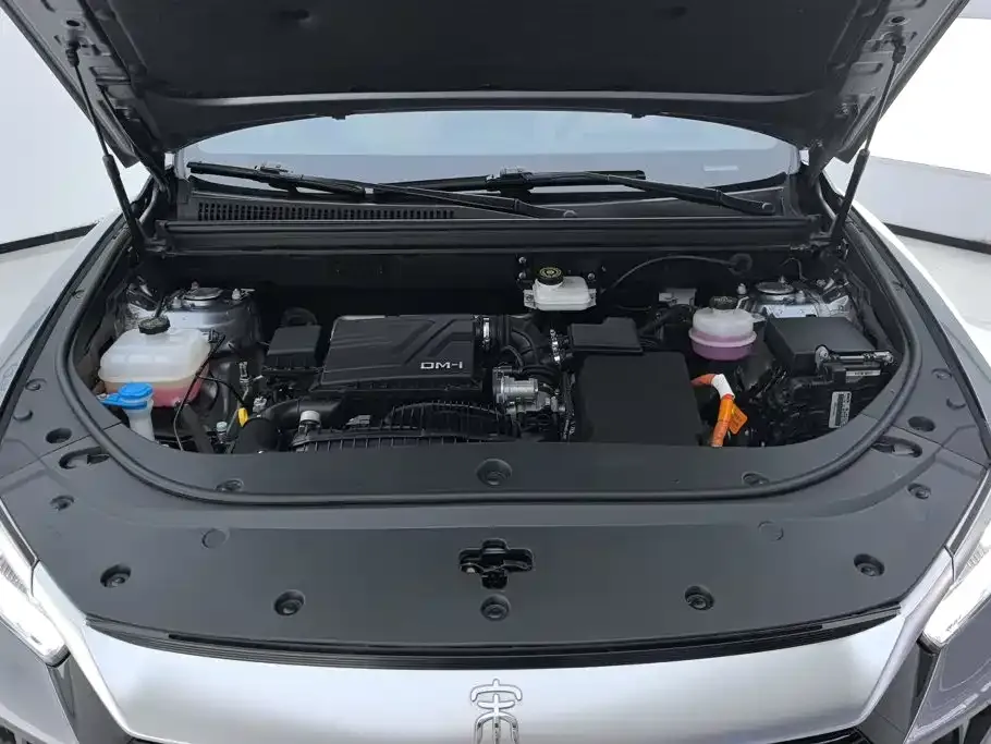 BYD Pro New Energy — фото 9