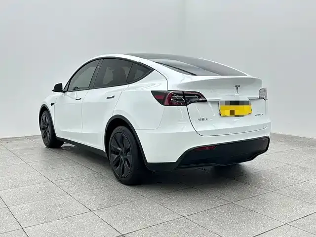 Tesla Model Y — фото 9