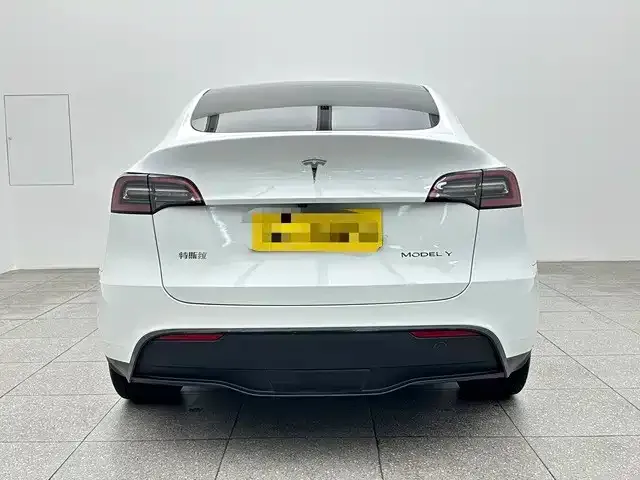 Tesla Model Y — фото 2