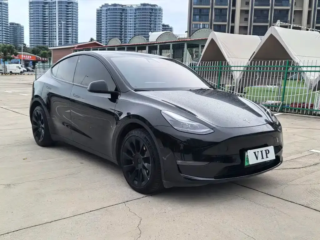 Tesla Model Y — фото 9