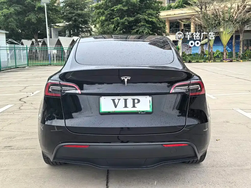 Tesla Model Y — фото 5