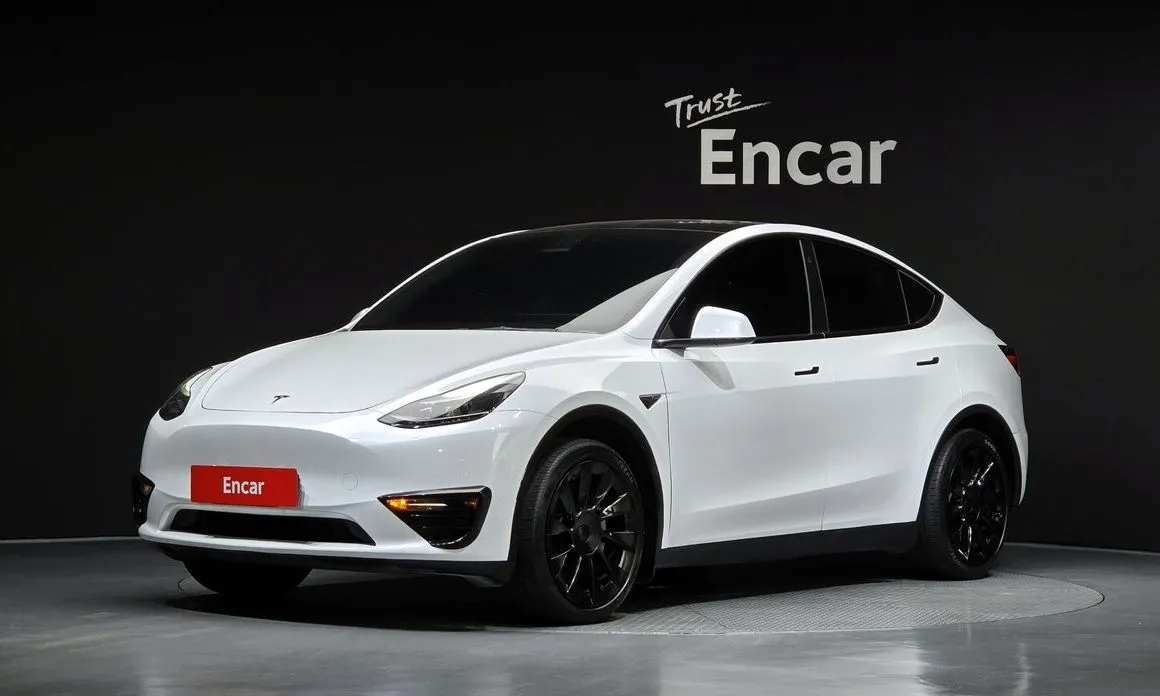 Tesla Model Y — фото 1