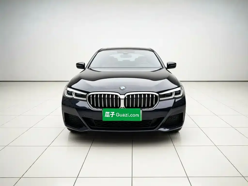 BMW 5 Series New Energy — фото 7