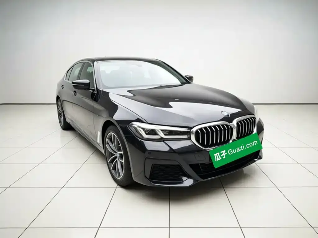 BMW 5 Series New Energy — фото 4