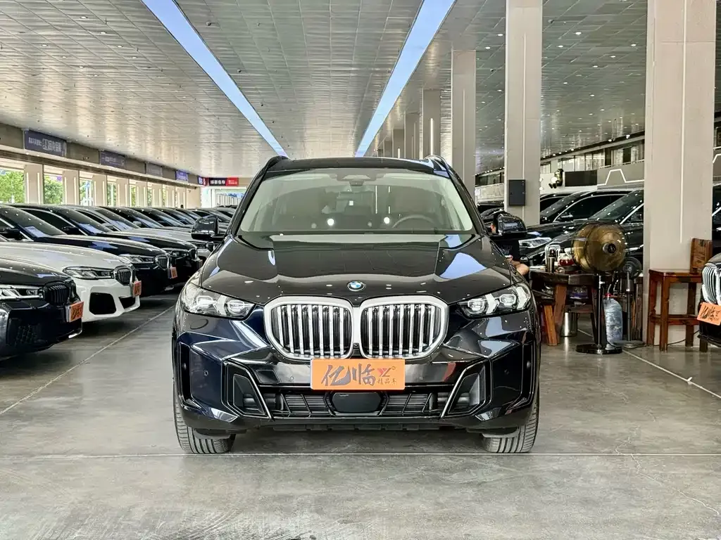 BMW X5 — фото 10