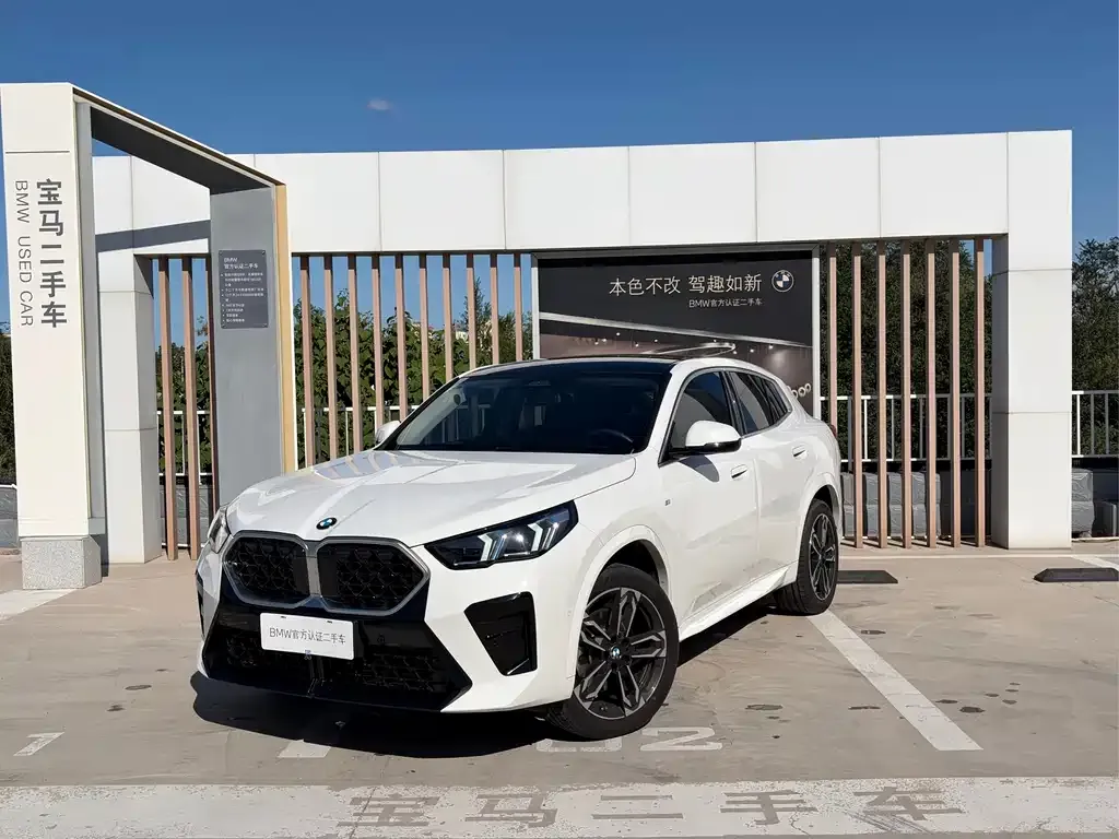 BMW X2 (Import) — фото 1