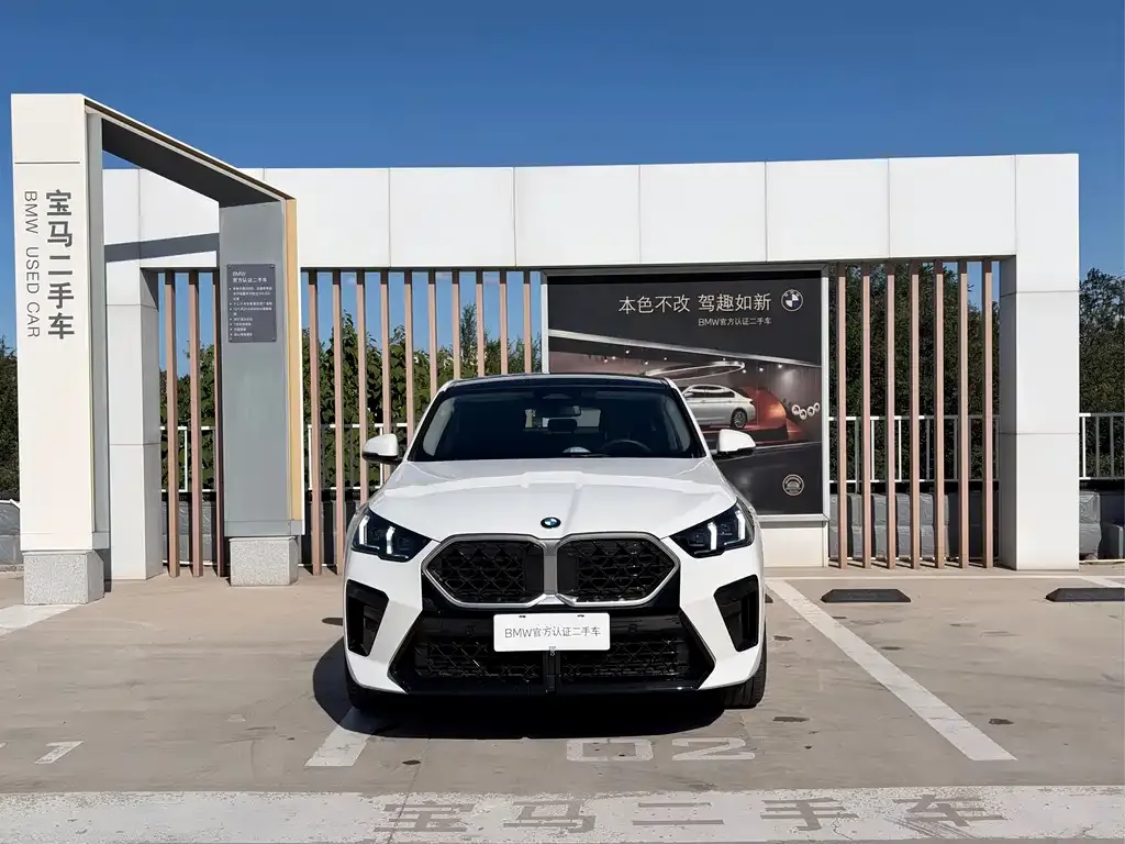 BMW X2 (Import) — фото 10