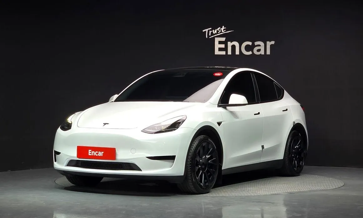 Tesla Model Y — фото 1