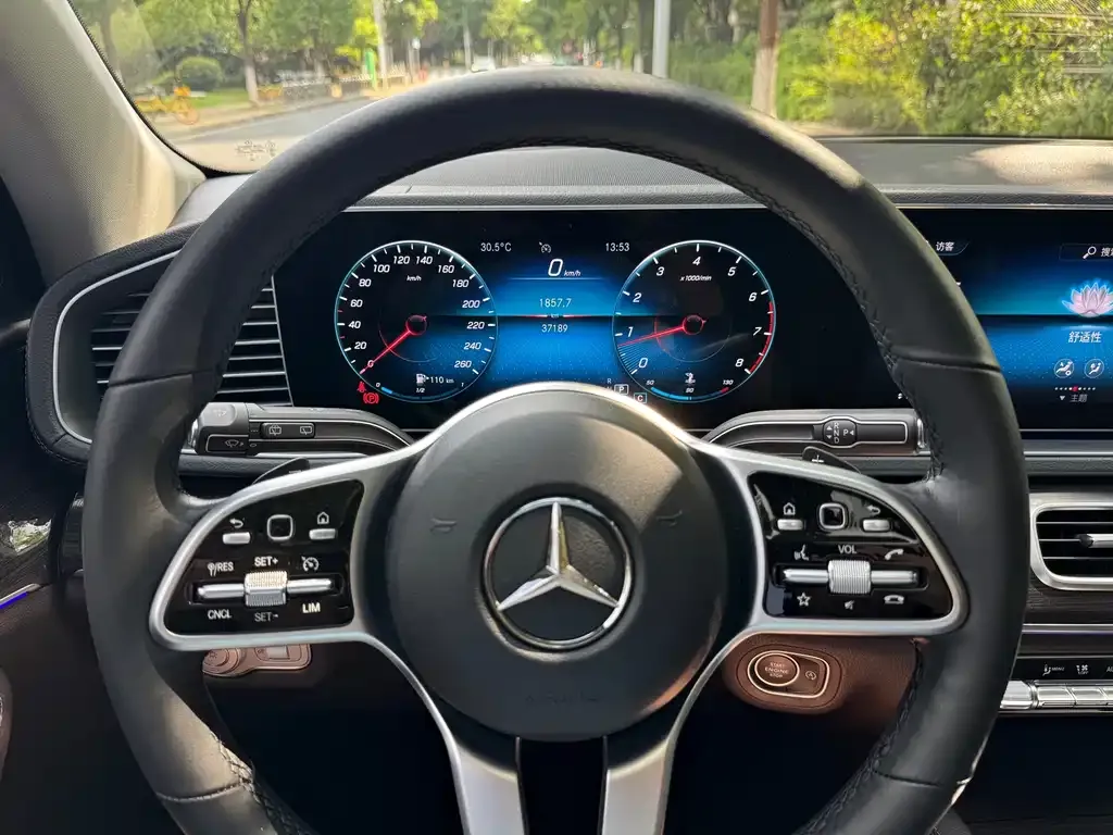 Mercedes-Benz GLE (Import) — фото 8