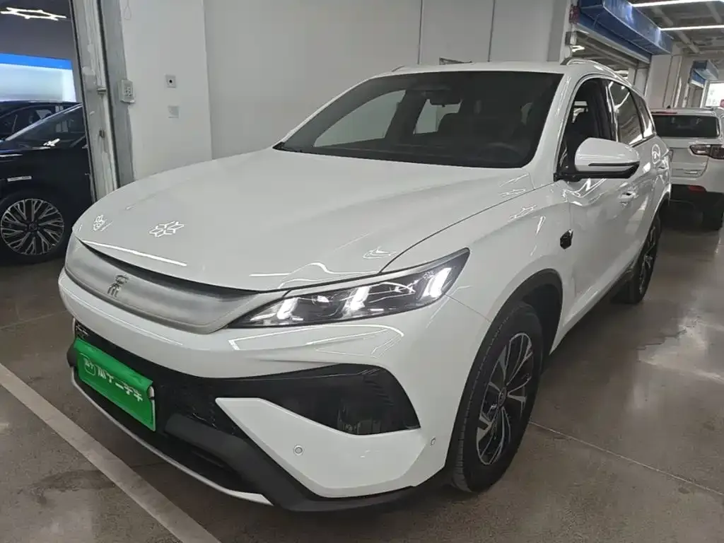 BYD Pro New Energy — фото 9