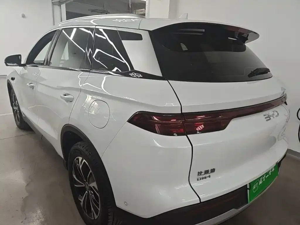 BYD Pro New Energy — фото 5