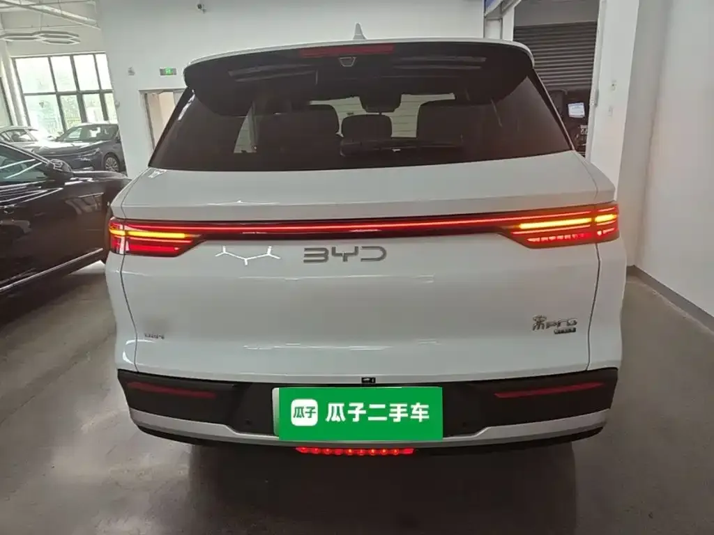 BYD Pro New Energy — фото 2