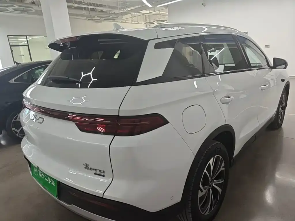 BYD Pro New Energy — фото 4