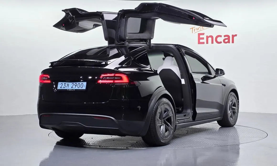 Tesla Model X — фото 10