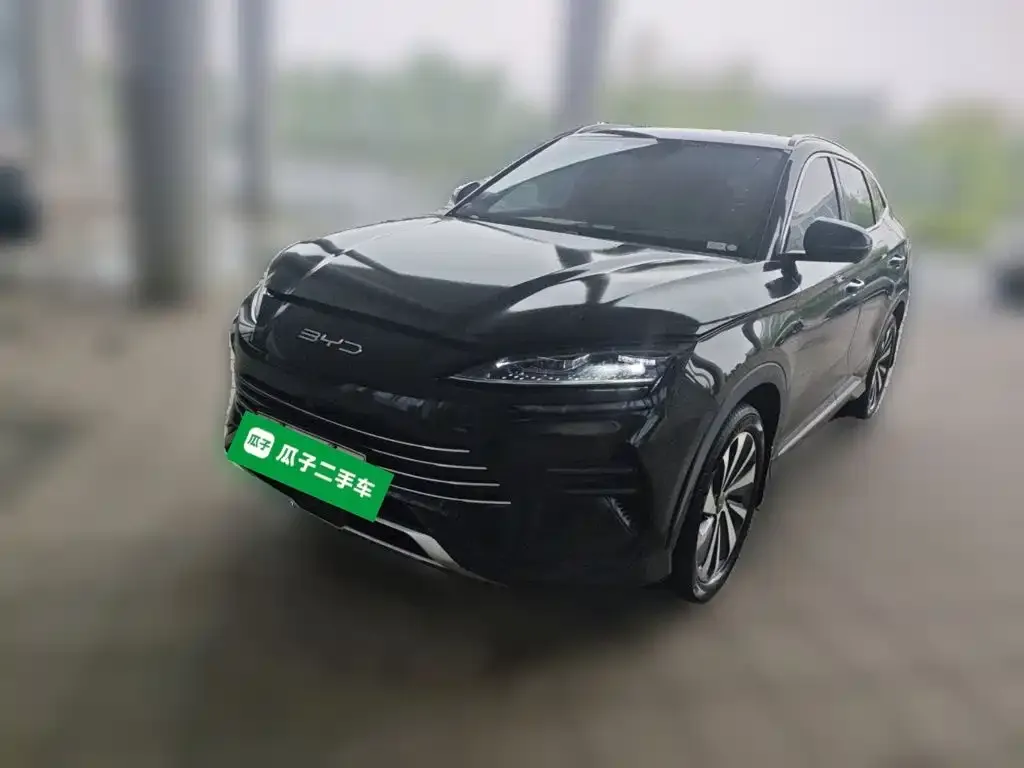 BYD PLUS New Energy — фото 4