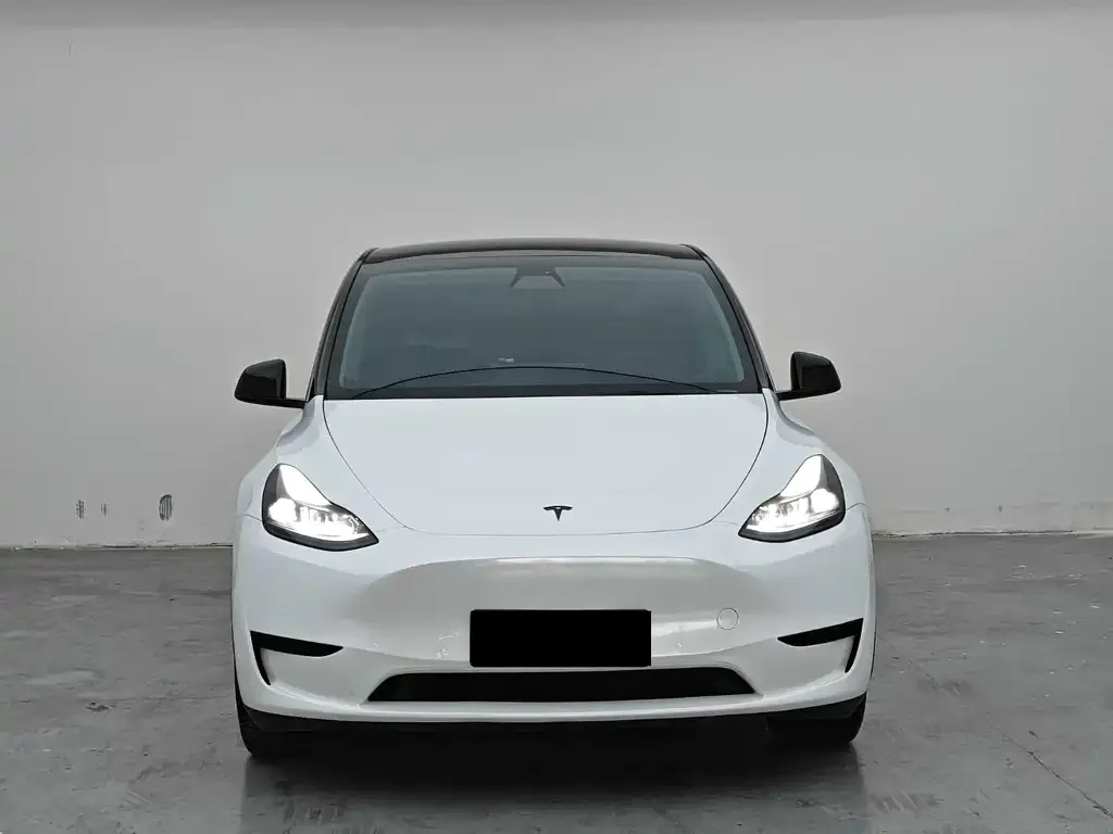 Tesla Model Y — фото 5
