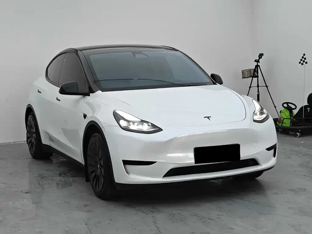 Tesla Model Y — фото 6