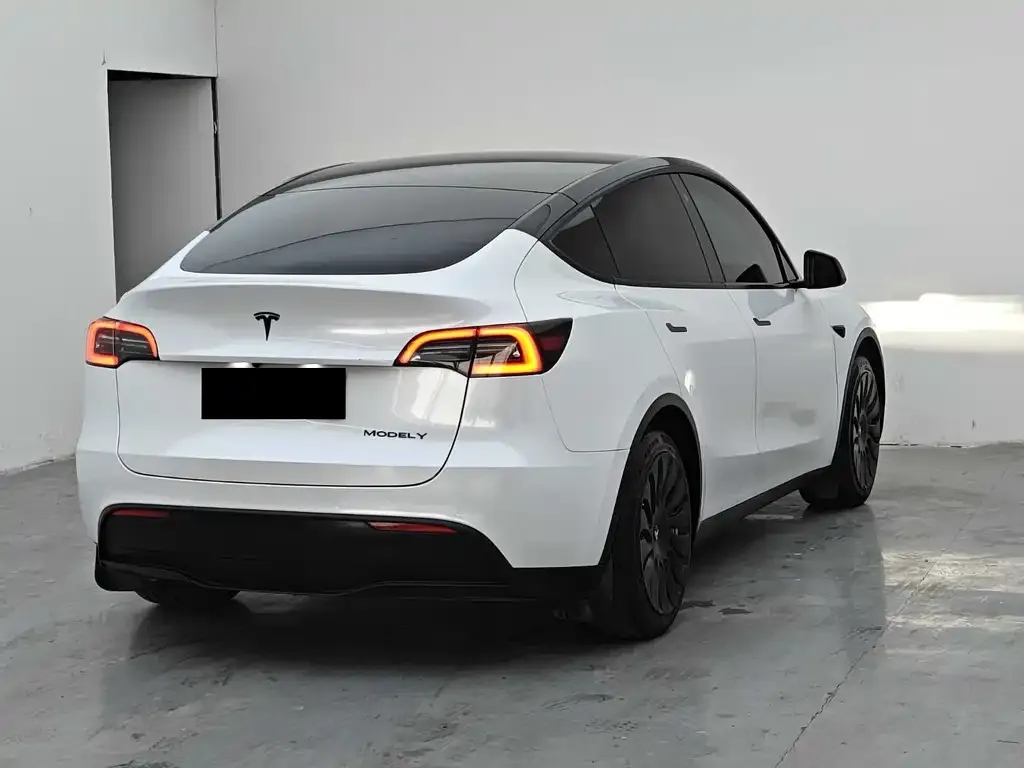 Tesla Model Y — фото 8