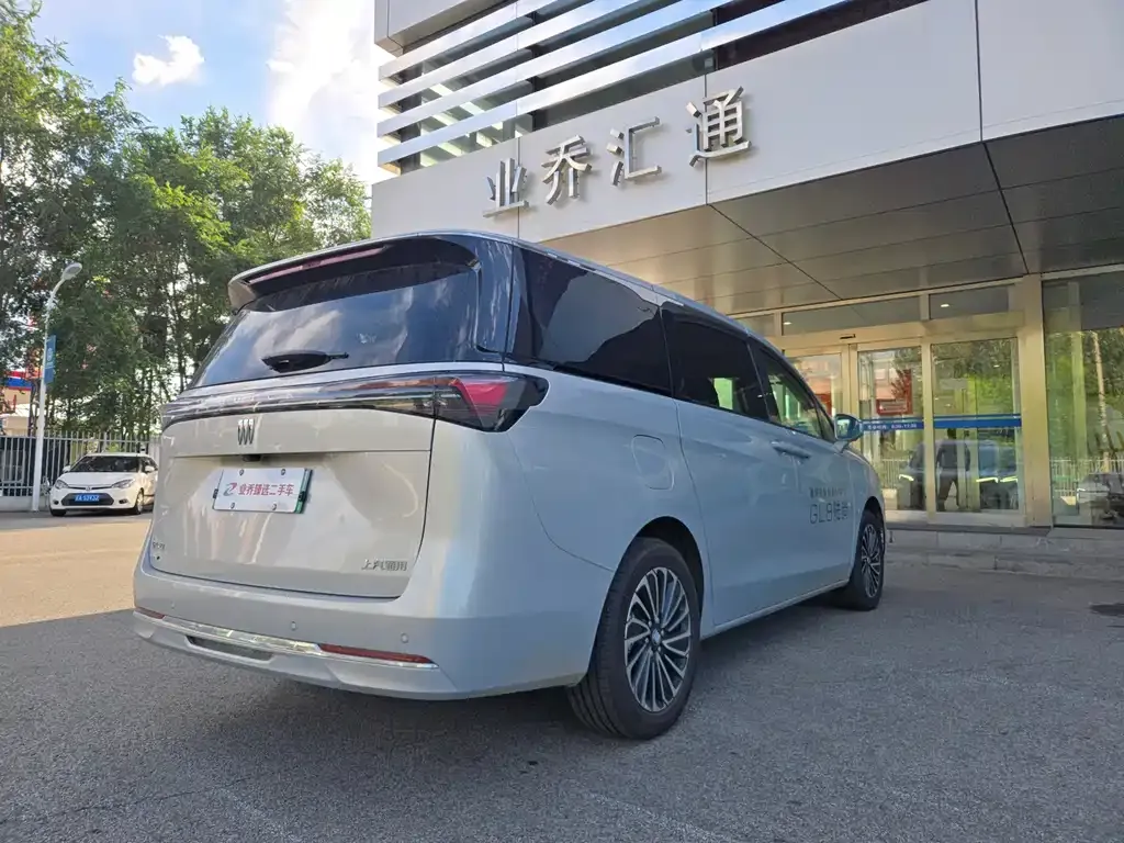 Buick GL8 Hybrid — фото 5