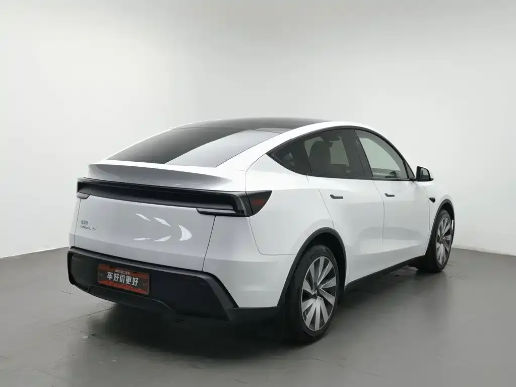 Tesla Model Y — фото 5