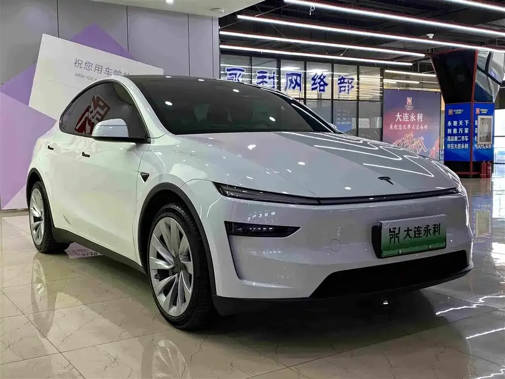 Tesla Model Y — фото 10