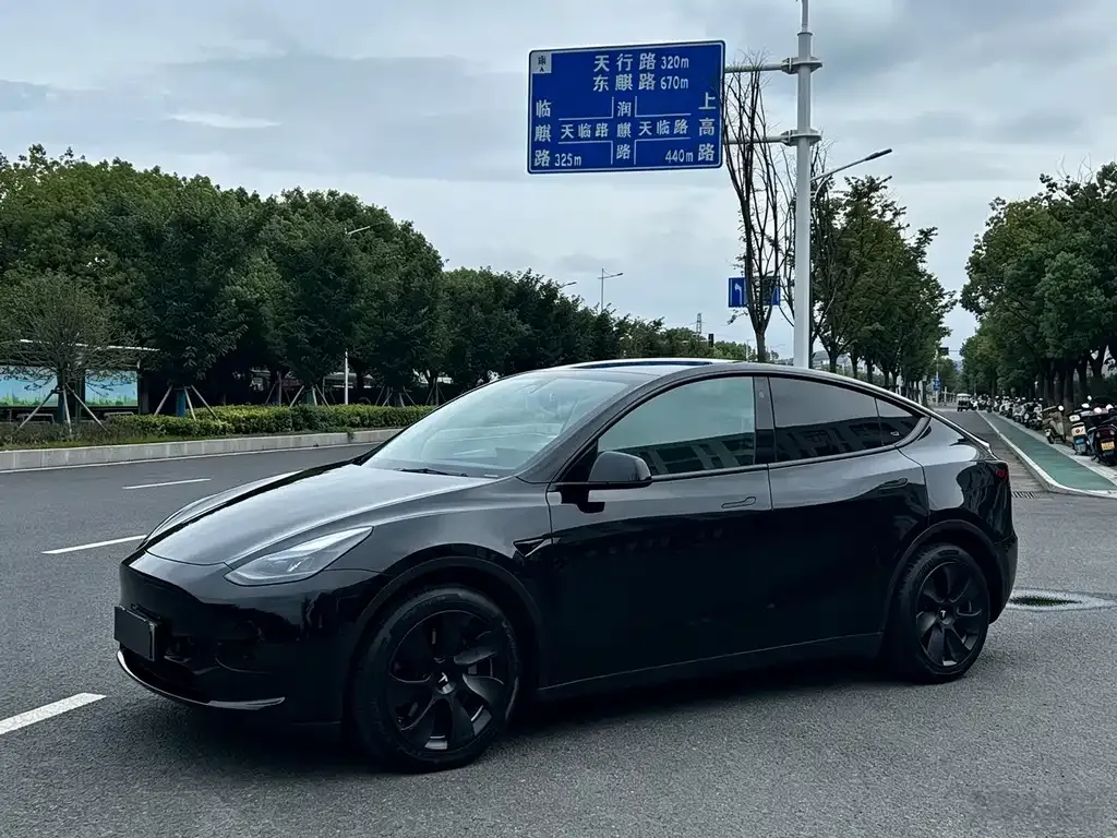 Tesla Model Y — фото 1
