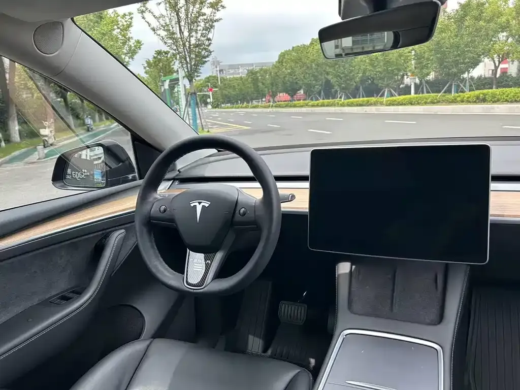 Tesla Model Y — фото 6