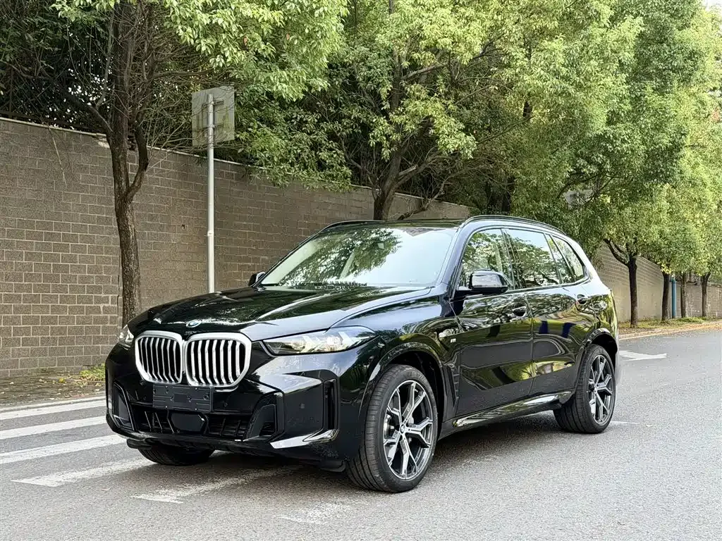 BMW X5 — фото 8