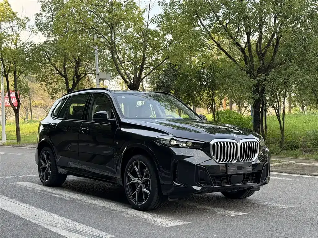 BMW X5 — фото 6