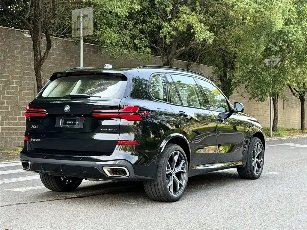 BMW X5 — фото 10