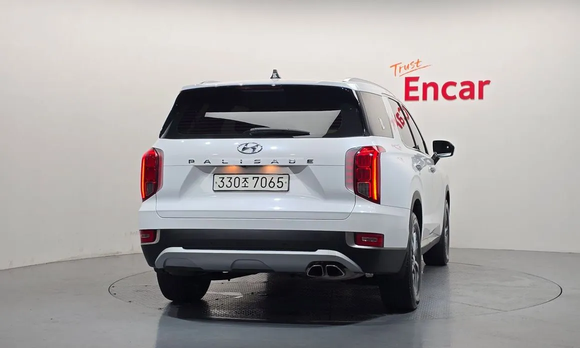 Hyundai Palisade — фото 8