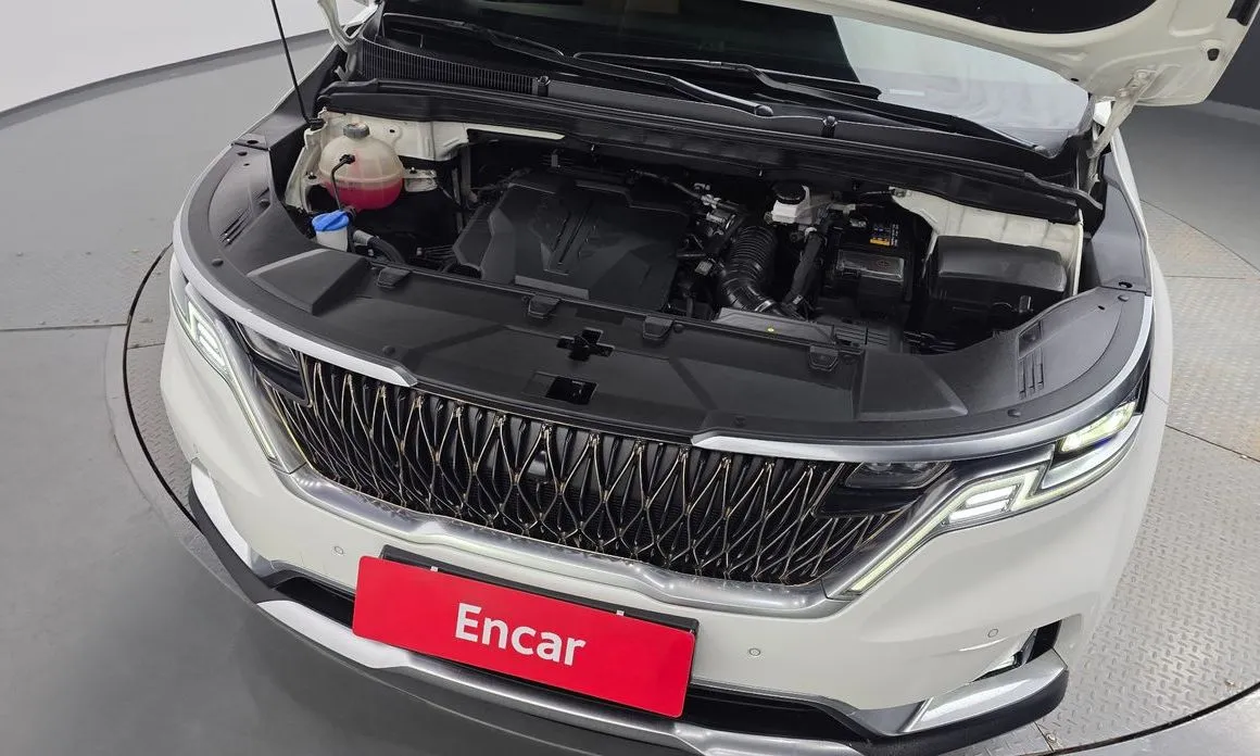 Kia Carnival — фото 10