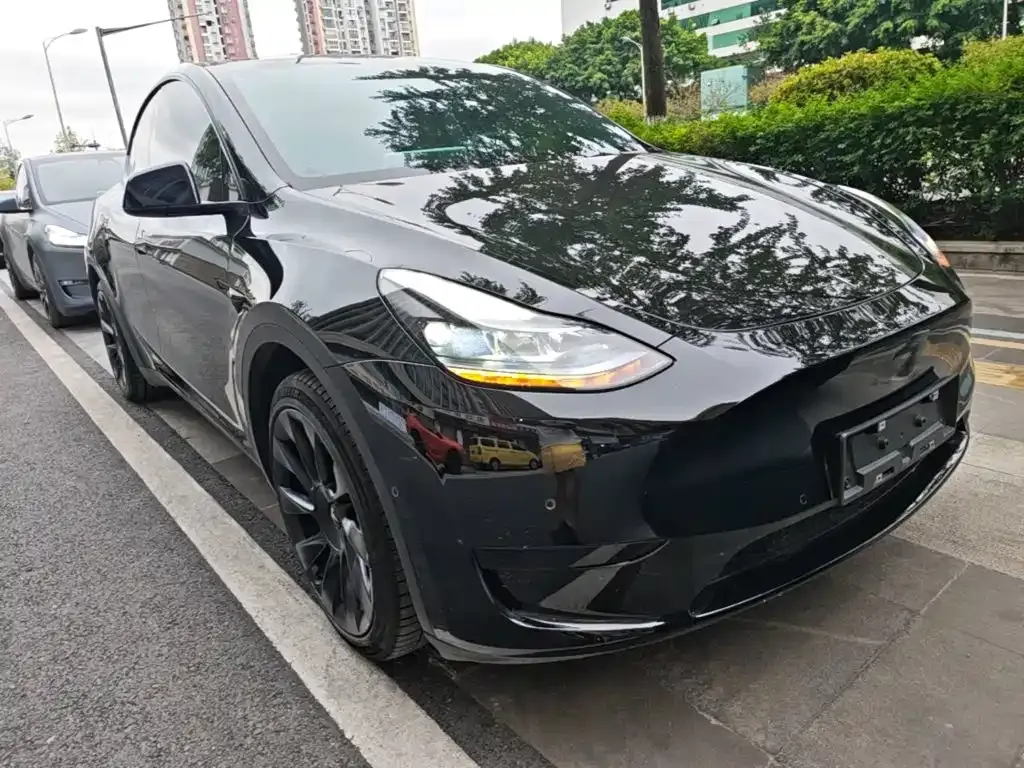 Tesla Model Y — фото 3