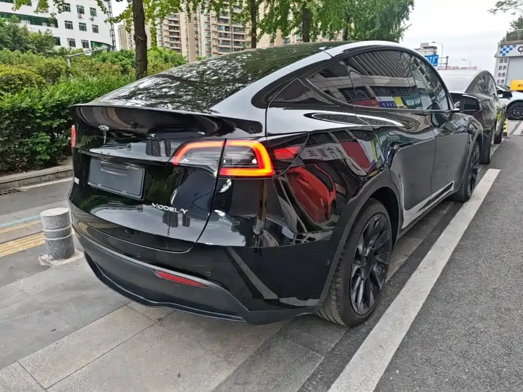 Tesla Model Y — фото 10