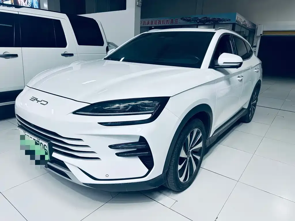 BYD PLUS New Energy — фото 1