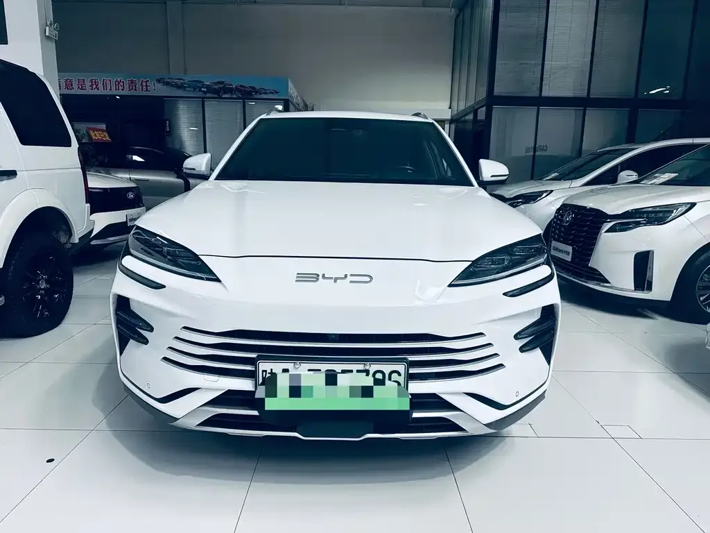 BYD PLUS New Energy — фото 3