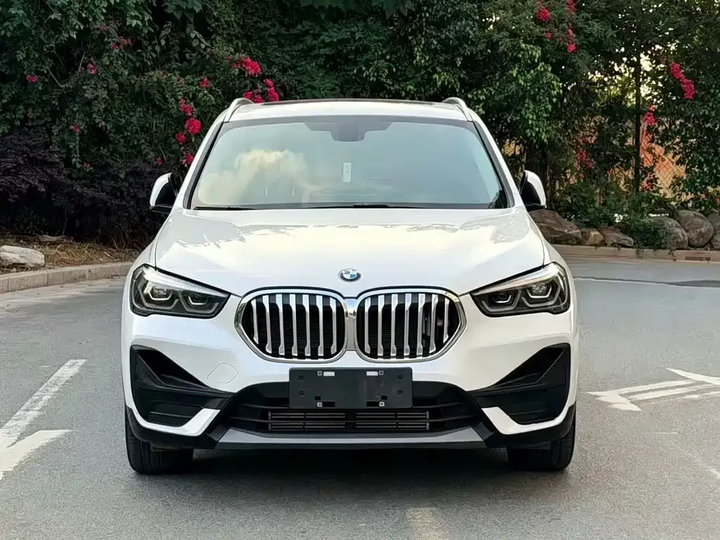 BMW X1 — фото 1
