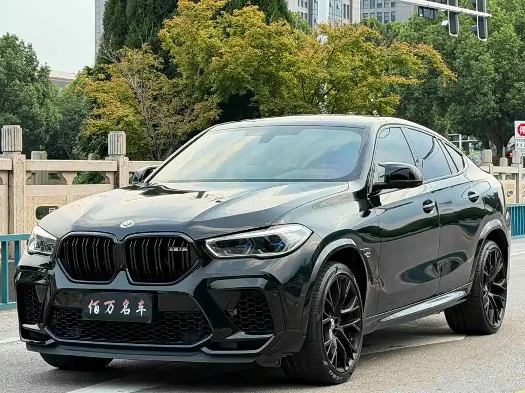 BMW X6 M — фото 1