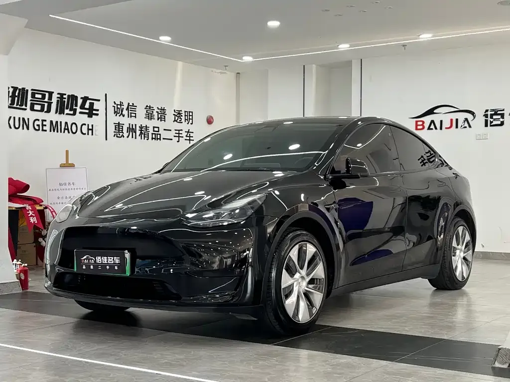 Tesla Model Y — фото 1