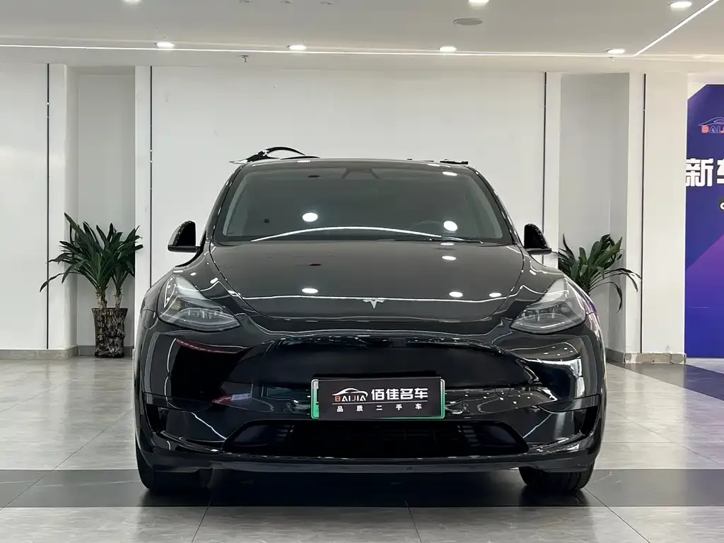 Tesla Model Y — фото 8
