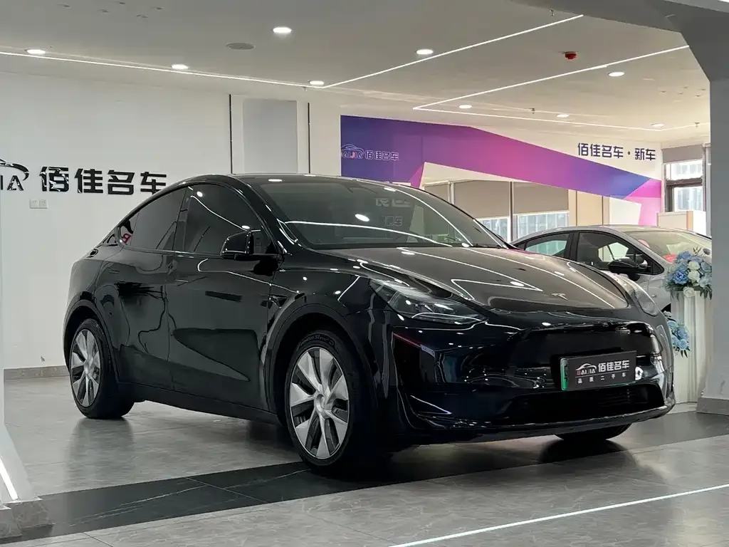 Tesla Model Y — фото 10